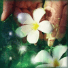 2278.gif